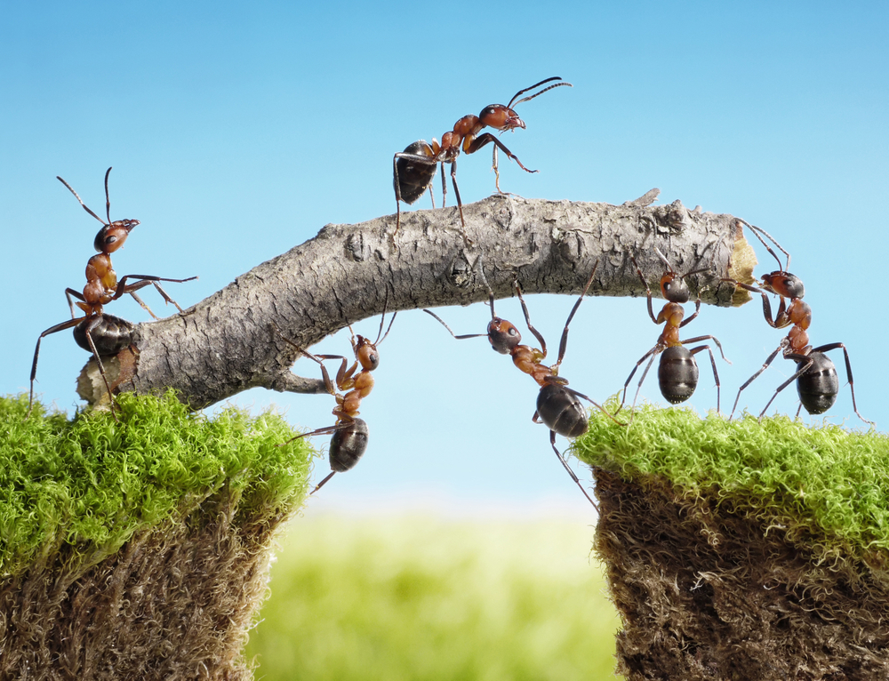 teamwork skills in the workplace